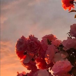 Meet your Posher, Kyana